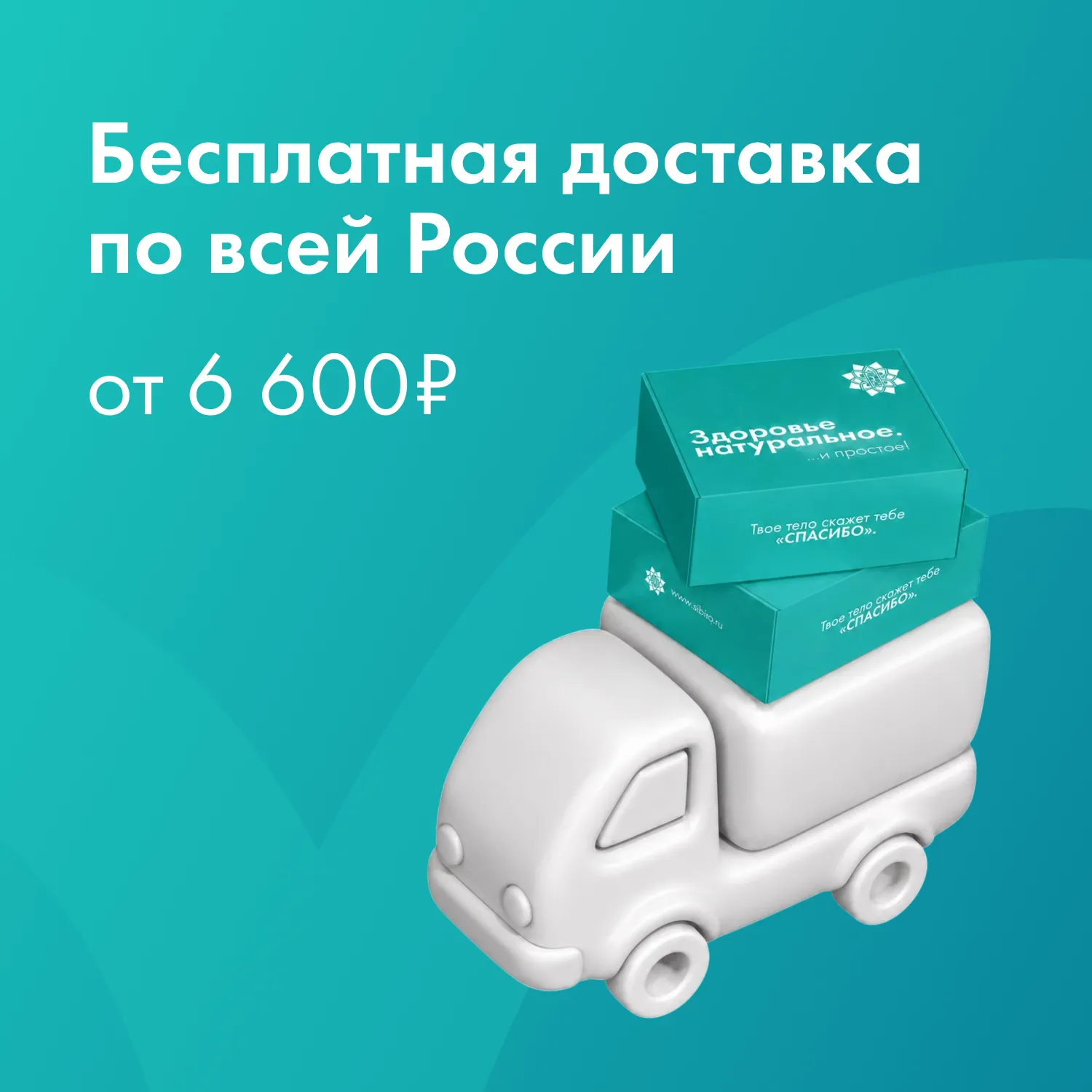 Бесплатная доставка по всей России